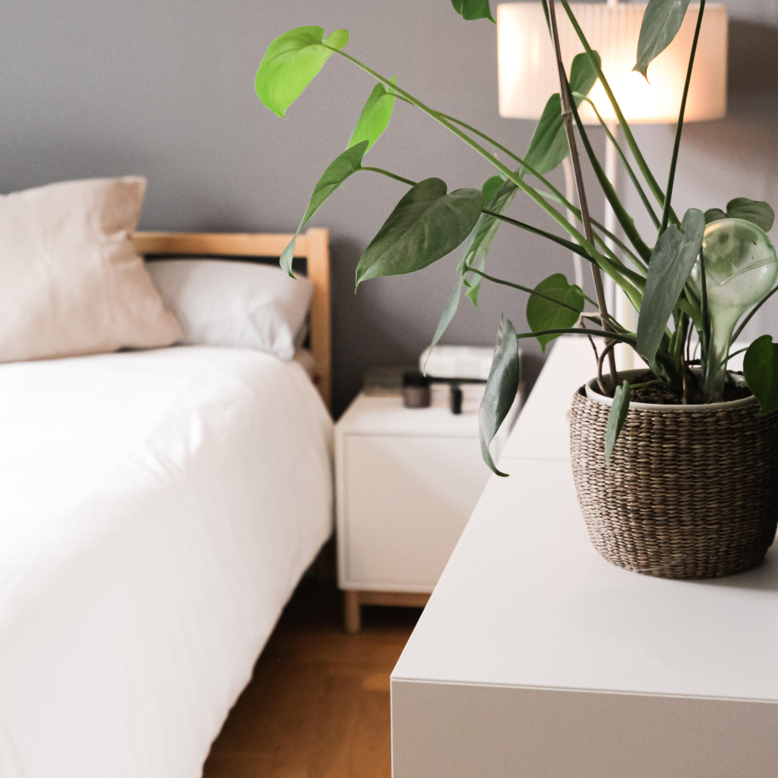 Actor, Creator & Host Zeneath Lauren